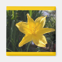 Gul blomma kylskåps magneter