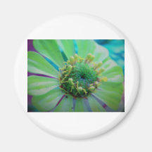 gul blomma kylskåps magneter