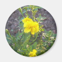 gul blomma magnet för kylskåp