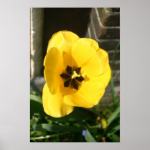Gul blomma print