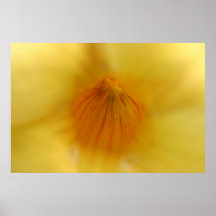 Gul blommamakro affischer