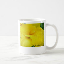 Gul Canna liljamugg