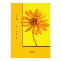 Gul daisy inbjudningar