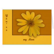 Gul daisy kort