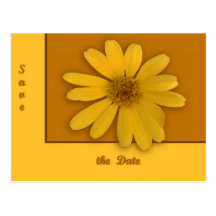 Gul daisy vykort
