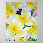 Gul Frangipani Posters