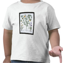 Gul Horned vallmo, från 'Hortusen Eystettensis Tee Shirt