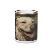 Gul lab mugg