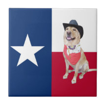 Gul lab Texas Keramiska Plattor