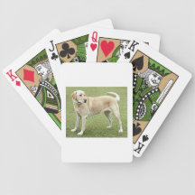 Gul Labrador Retriever Spelkort