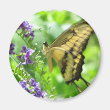 Gul magnet för Swallowtail fjärilscirkulär Magnet För Kylskåp