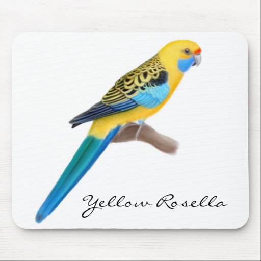 Gul Rosella papegoja Mousepad Mus Matta