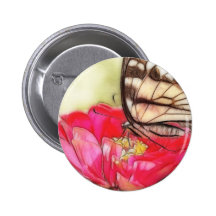 Gul Swallowtail fjäril på en Zinnia Pins