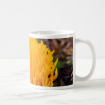 Gul vildchampinjon kaffe mugg