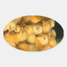 Gula babychickar klistermärke