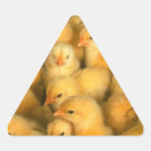 Gula babychickar klistermärken