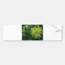 Gula blommatentakel bildekal