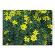 Gula blommor hälsnings kort