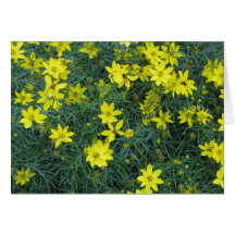 Gula blommor hälsningskort