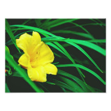 gula blommor konstfoto