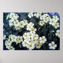 Gula blommor print