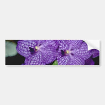Gula Vanda blommor Bildekaler