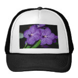 Gula Vanda blommor Keps
