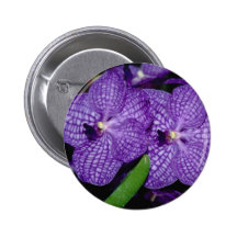 Gula Vanda blommor Knapp Med Nål