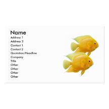 Guld- citronSeverum Cichlids profilerar kortet Visit Kort