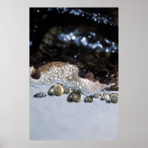 Guld- liten droppe print