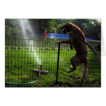 Guld- och Sprinklerhälsningkortet