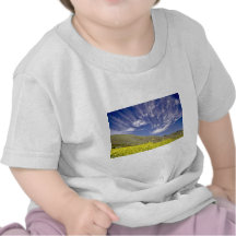 Guld- område för grindmedborgarerekreation - Marin T Shirts