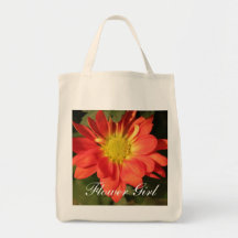 Guld- orange färgdaisyflowers. kasse