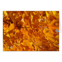 Guld- orange höst lövhälsningkort
