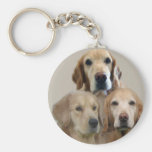 Guld- Retriever Keychain Nyckelring