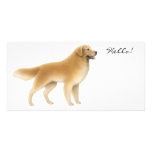 Guld- Retrieverfotokort