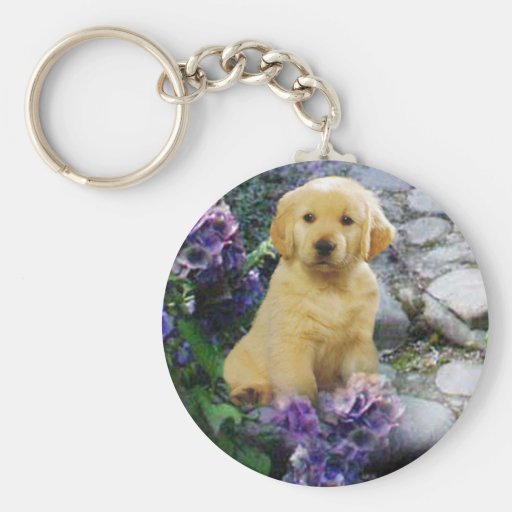 Guld- Retrievervanlig hortensia Keychain Nyckel Ring