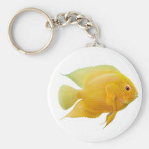 Guld- Severum Cichlid Keychain Nyckel Ring