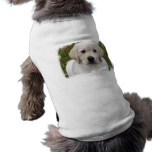 Guld- skjorta för Retrievervalphusdjur Hund T-shirt