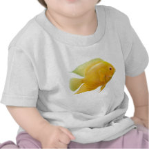 Guld- T-tröja för Severum fiskspädbarn