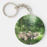 Guld- valpar Keychain Nyckelringar