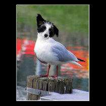 Gulldog vykort