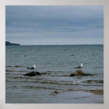 "Gullfriends" - ett porträtt Print