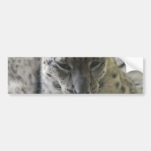 Gullig bildekal för snöLeopard