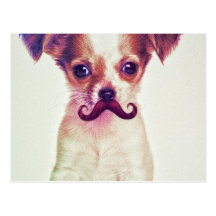 Gullig Chihuahua med purpurfärgad rolig mustasch Vykort