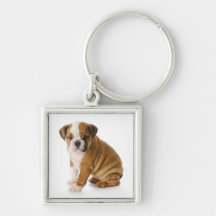 Gullig engelsk bulldoggvalphund Keychain Nyckelring