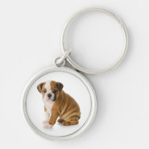 Gullig engelsk bulldoggvalphund Keychain Nyckelringar