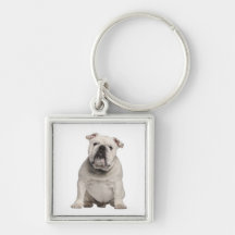 Gullig engelsk bulldoggvalphund Keychain Nyckelringar