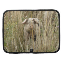 Gullig finnig grisRickshawfolio Organizer