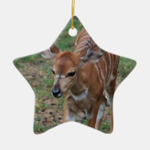 Gullig Gazelle Juldekoration
